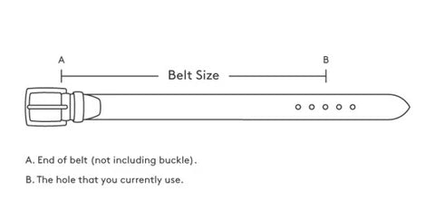 Water Buffalo Belt